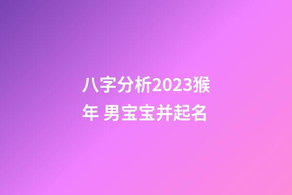 八字分析2023猴年 男宝宝并起名